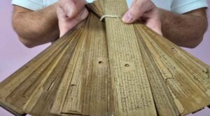 Palm leaf reading-2