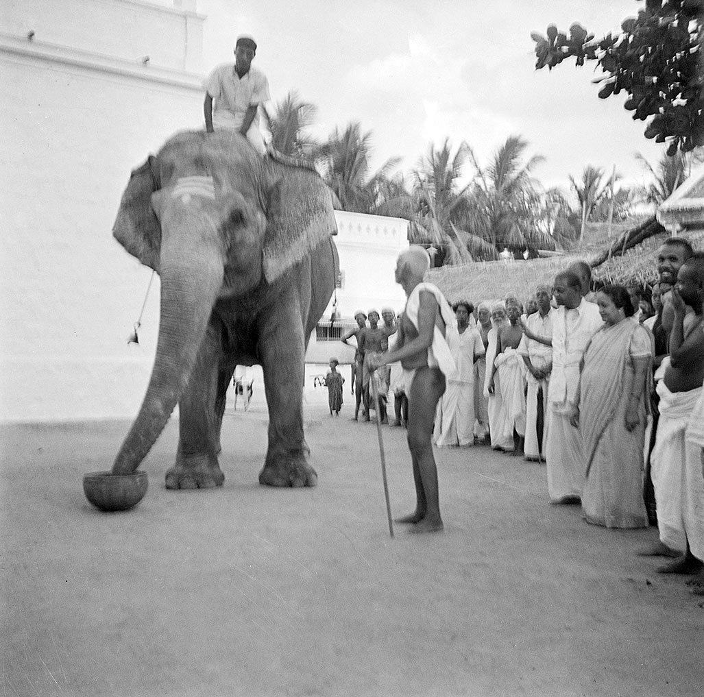 Sri Ramana and Elephant