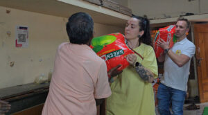 Green Apple Banner - 2