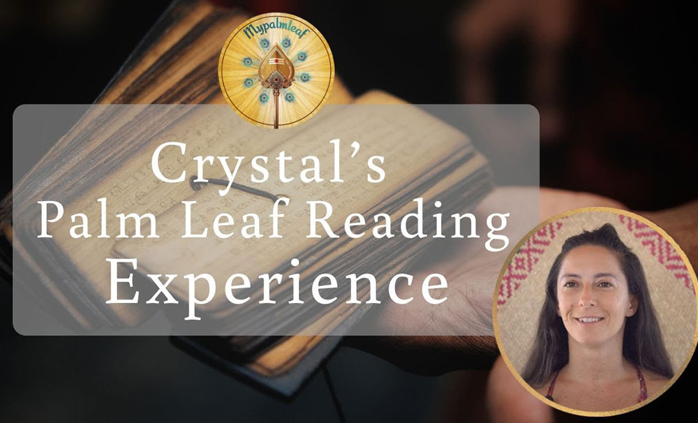 Verified palm leaf reading customer testimonial 3