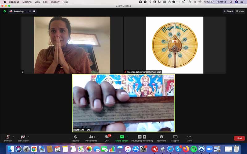 Online palm leaf reading session over Zoom with the Mypalmleaf logo