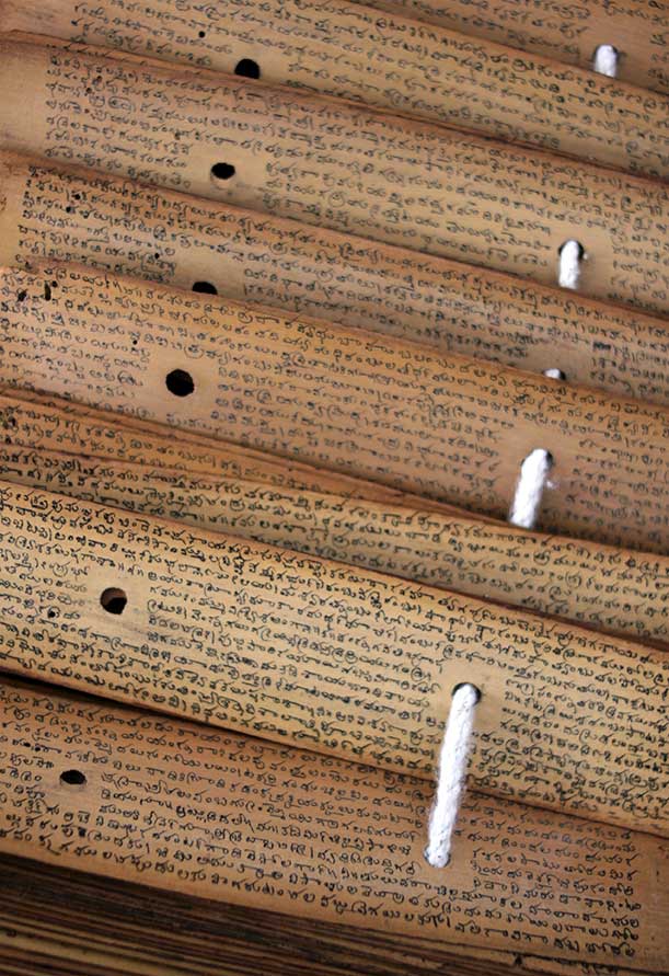 Close-up of Tamil script and binding holes on palm leaf manuscript strips
